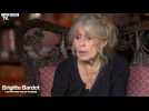 Brigitte Bardot apporte son soutien à Nicolas Bedos et Gérard Depardieu