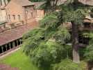 Payasage: le Cloître de Moissac