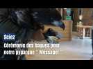Sciez : cérémonie des bagues pour notre pygargue Messager des Aigles du Léman