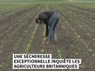 Agriculture : 