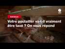 VIDEO. Votre poulailler va-t-il vraiment être taxé ? On vous répond