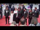 Cannes : des stars sur le tapis rouge pour la présentation du film 