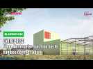 Blaringhem : Fiboo, l'entreprise qui mise sur le bambou comme isolant