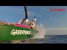 VIDÉO. Greenpeace lâche des blocs de pierre dans le parc marin du golfe du Lion