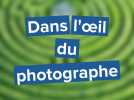 L'oeil du photographe : un labyrinthe de verdure vertigineux dans le pays de Bray