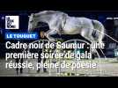 Cadre noir de Saumur : une première soirée de gala réussie, pleine de poésie et sous les étoiles