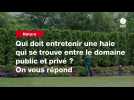 VIDEO. Qui doit entretenir une haie qui se trouve entre le domaine public et privé ? On vous répond