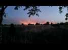 Important incendie dans le parc national de la Haute Campine à Maasmechelen