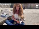 VIDÉO. Installée en Finistère, cette ex-star de TF1 milite aujourd'hui contre les abandons d'animaux