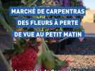 Le marché horticole de Carpentras ne risque pas d'oublier les mamans
