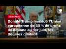 VIDEO. Donald Trump menace l'Union européenne de 50 % de droits de douane au 1er juin, les Bourses chutent