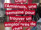 Dans l'Amiénois, une semaine pour trouver un emploi