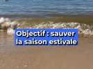 Au Lavandou, on veut sauver la saison estivale