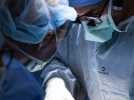La première transplantation de vessie humaine au monde a été réalisée avec succès