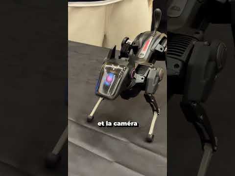 Voici Sirius le chien de garde robotique ! #robot #sirius #shorts