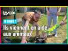 [TU SAVAIS ?] Ils viennent en aide aux animaux