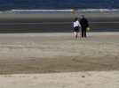 La qualité des eaux de baignade en Hauts-de-France pour la saison 2025