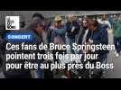 Ils pointent trop fois par jour pour être au plus près de Bruce Springsteen