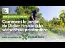 Le printemps dans le jardin résilient de Didier Willery
