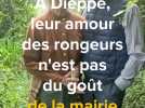 À Dieppe, leur jardin luxuriant et leur amour des rongeurs ne sont pas du goût de la mairie