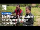 Avesnois : vous pouvez participer à l'inventaire de la faune et la flore du quotidien
