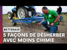 5 façons de désherber les betteraves avec moins ou plus de produit chimiques