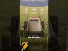Un robot qui tond votre pelouse tout seul ! 