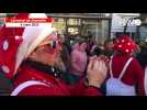 VIDEO. Les champignons emmènent le public dans la danse de la cavalcade au carnaval de Granville