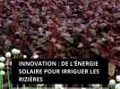 Innovation : de l'énergie solaire pour irriguer les rizières - à Panchagarh, Bangladesh