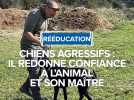 Chiens agressifs : Il redonne confiance à l'animal et son maître