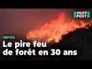 Le Japon face à son pire feu de forêt depuis plus de 30 ans