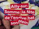 Ailly-sur-Somme : la fête de l'endive bat son plein