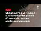 VIDEO. Chikungunya à La Réunion : la vaccination des plus de 65 ans et de certains adultes recommandée