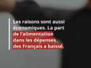 Alimentation - Comment nos habitudes alimentaires ont fait exploser la restauration rapide en France ?