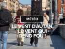 Le vent d'autan, le vent qui rend fou