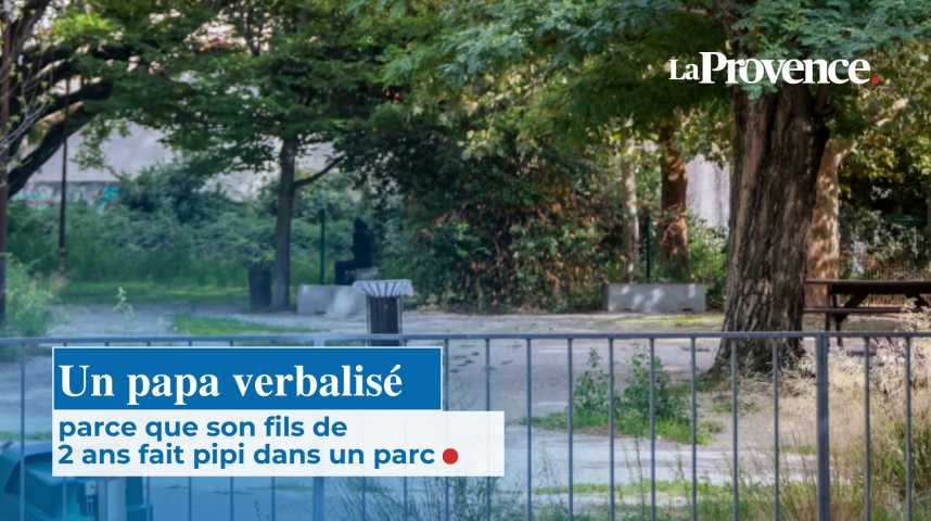 Son fils de 2 ans fait pipi dans un parc derrière un abre, le