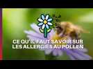 Tout ce qu'il faut savoir sur les allergies au pollen !