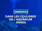 Plongée dans les coulisses d'Oniria