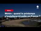 VIDEO. Météo : quand le printemps s'installera-t-il enfin en France ?