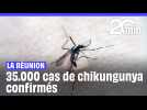 La Réunion : L'épidémie de chikungunya au plus fort de l'année