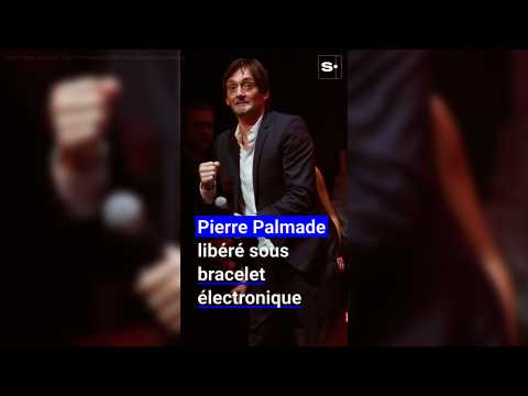 VIDEO : Aprs 4 mois de prison, Pierre Palmade est libr sous bracelet lectronique