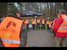 Nomexy : 7 tonnes de déchets ramassés dans les forêts vosgiennes