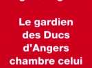 VIDÉO. Hockey sur glace : Quand le gardien de but des Ducs d'Angers chambre celui de Bordeaux