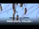 Les pollens sont de retour