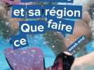 Le Havre et sa région. Que faire samedi 22 et dimanche 23 mars ?