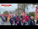 VIDÉO. 80 ans après la création de la sécu, ils manifestent pour l'accès aux soins à Nantes