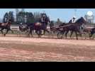 VIDEO. Pour sa réunion du 23 mars 2025, l'hippodrome de Graignes s'est refait une beauté