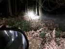 En patrouille de nuit avec l'ONF pour répertorier les espèces de la forêt de Mormal