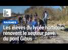 Les élèves du lycée horticole de Raismes rénovent le secteur pavé du pont Gibus 