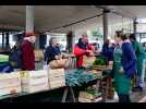 VIDÉO. Le marché de Saint-Lô retrouve sa place devant la mairie, après deux ans sur le Champ-de-Mars